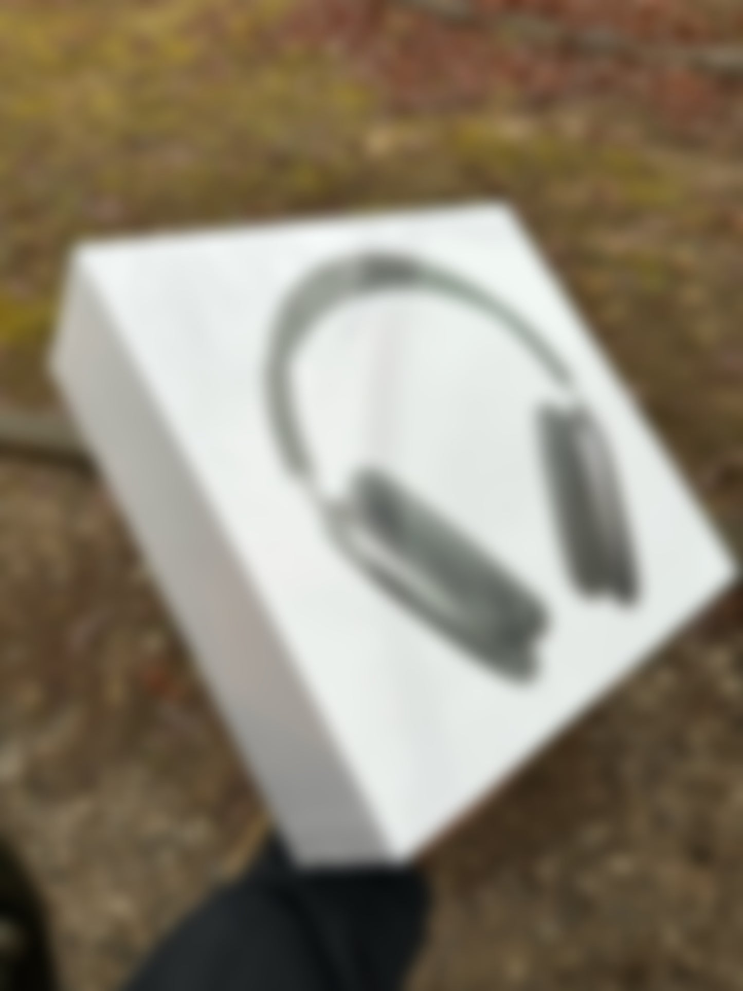 Promax Headphones